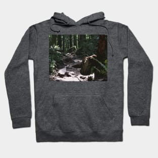 Forest Trail Hoodie